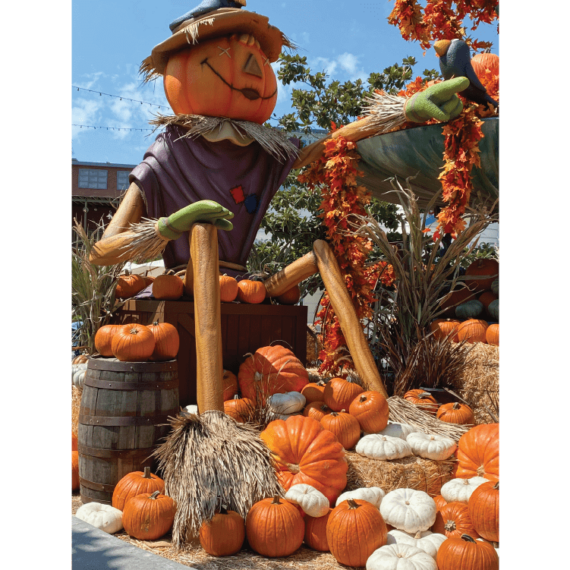 Little Spider Creations AirBnB Theme Room